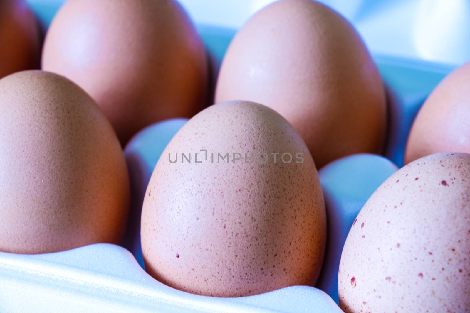 Yellow chicken eggs in a carton with empty space, background. by kip02kas