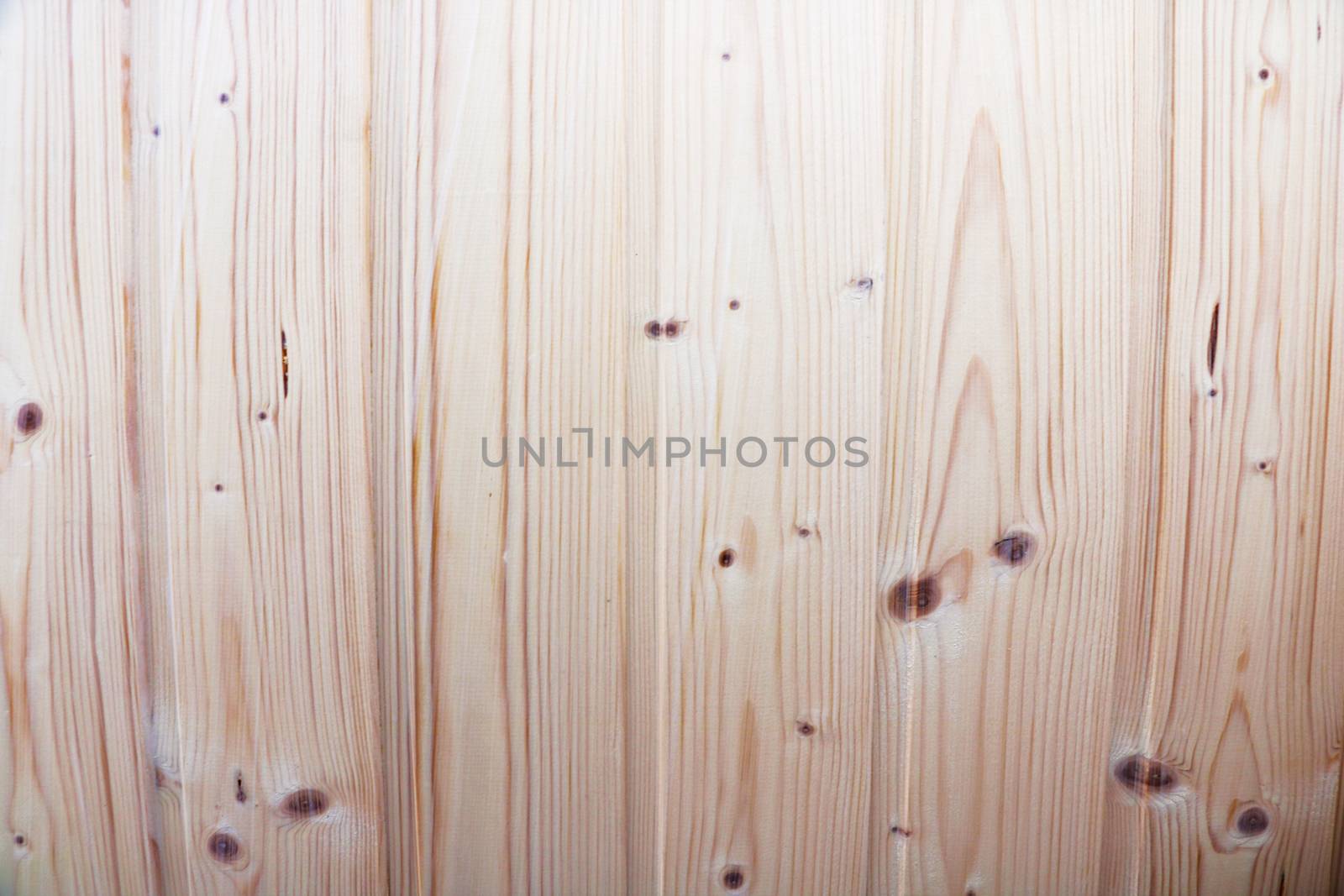 Wood texture. Wood texture for design and decoration