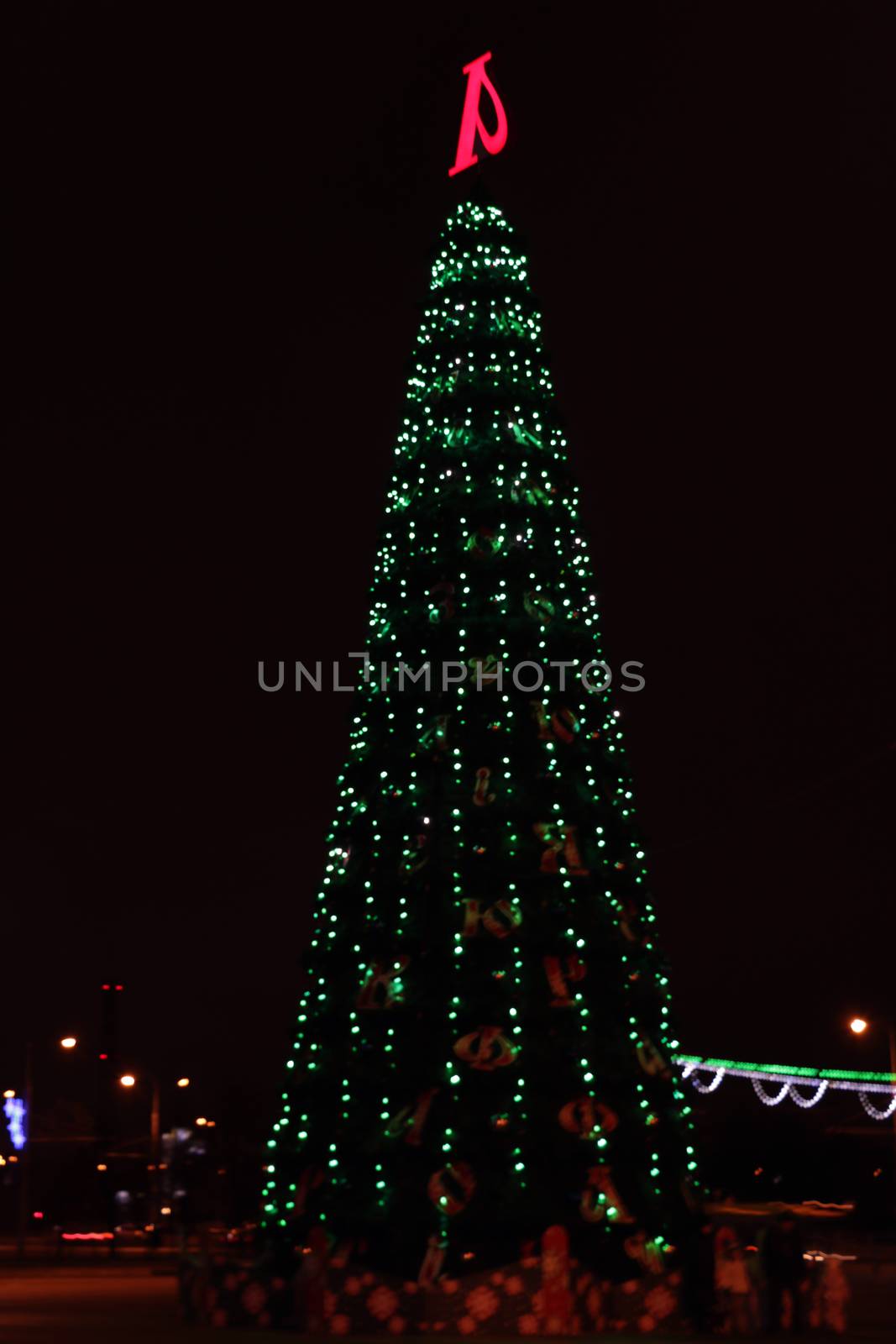 Snow Covered Christmas Tree with Multi Colored Lights at Night