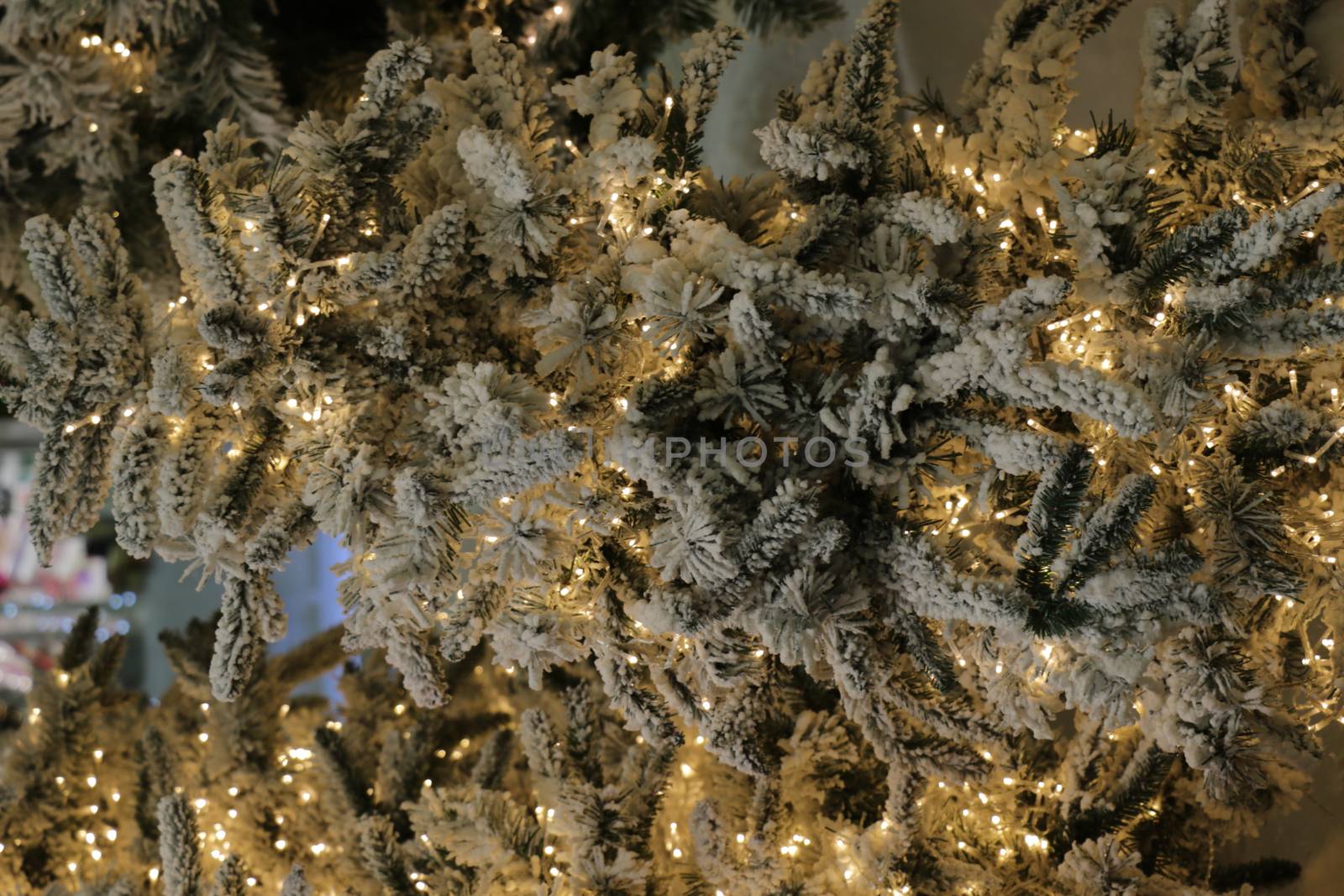 Fir branch with balls and festive lights on the Christmas background with sparkles