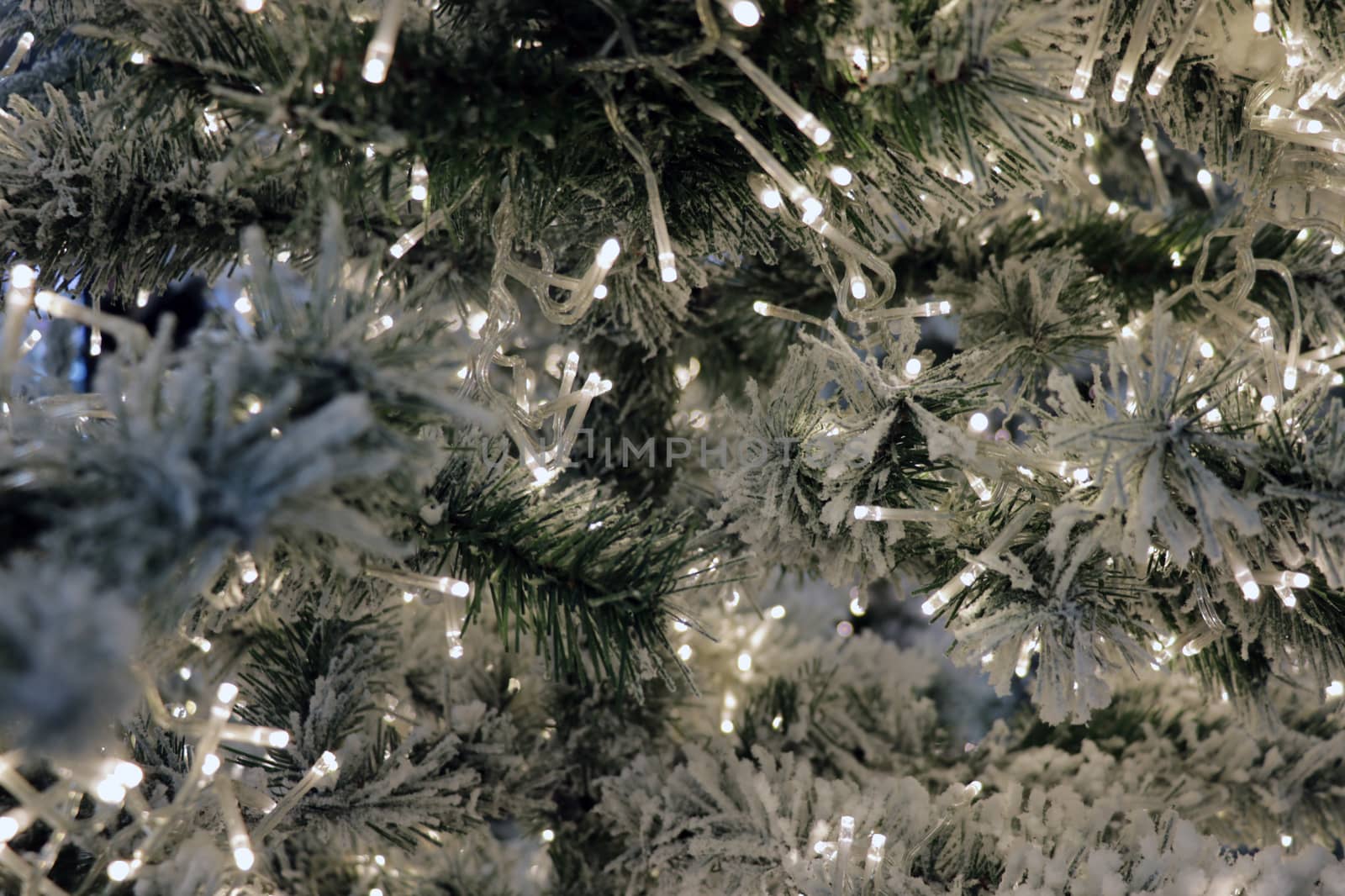 Christmas tree with cones on a city street illuminated with a garland and advertising lights. A branch of spruce with raindrops, illuminated by lights of a garland