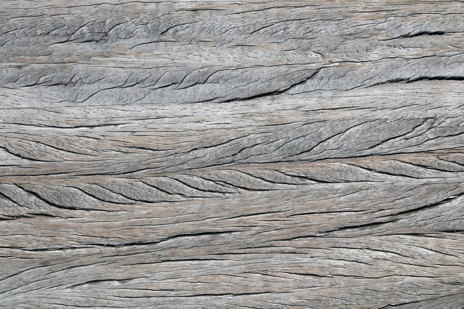 Wood texture with natural patterns, image can be used as a background for a design, top view