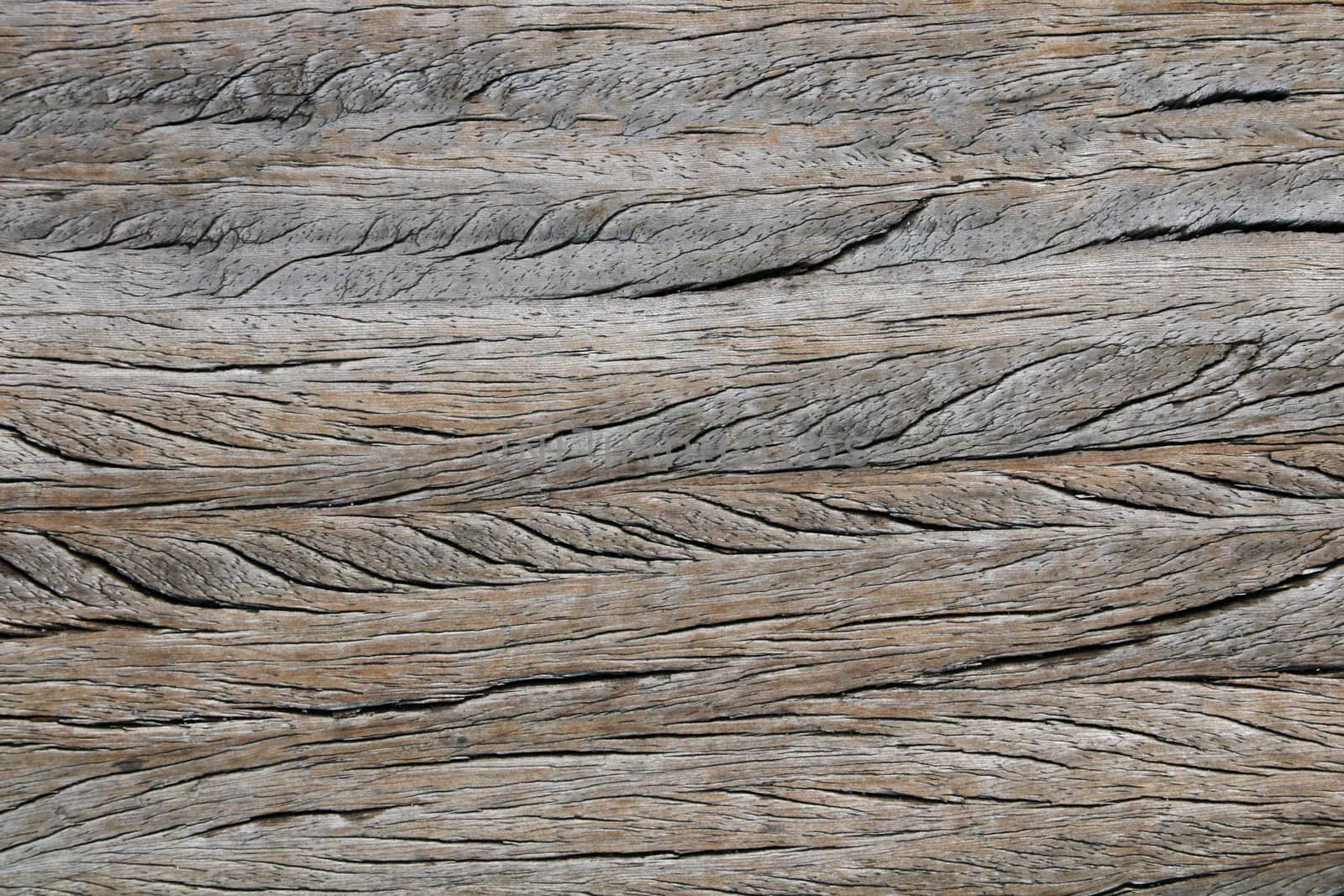 Wooden texture background. Natural wood texture, old wood texture for add text or work design for backdrop product. top view