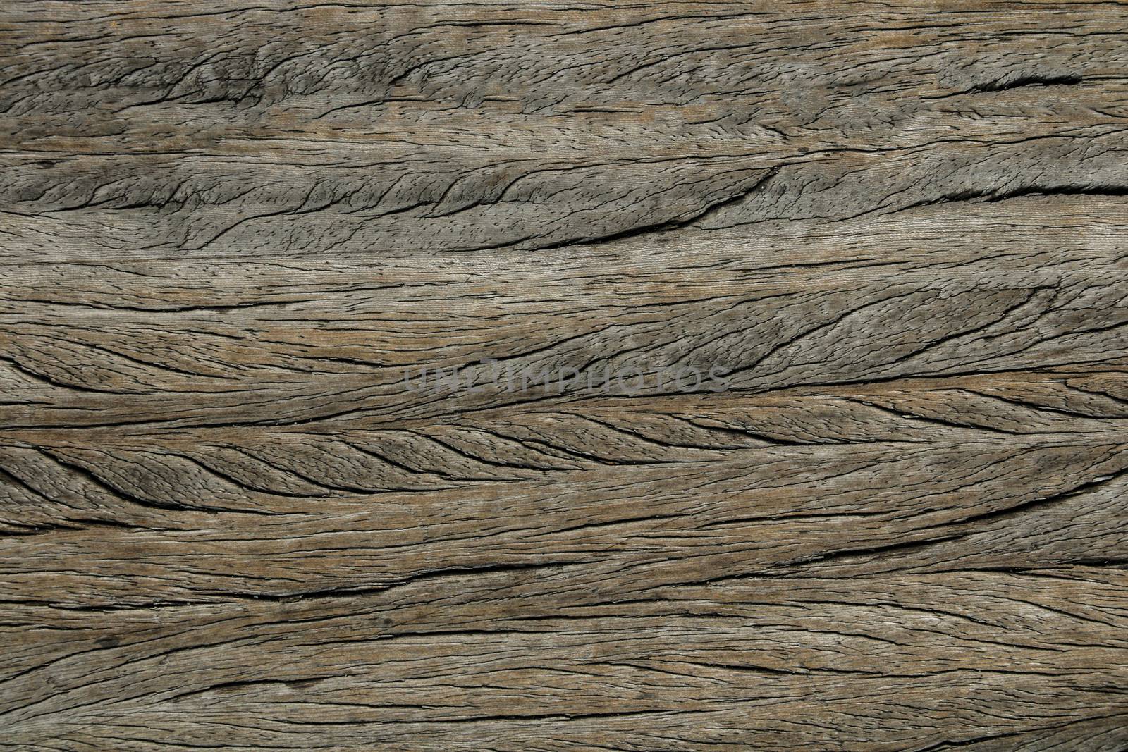 Wood texture with natural pattern for design and decoration. by kip02kas