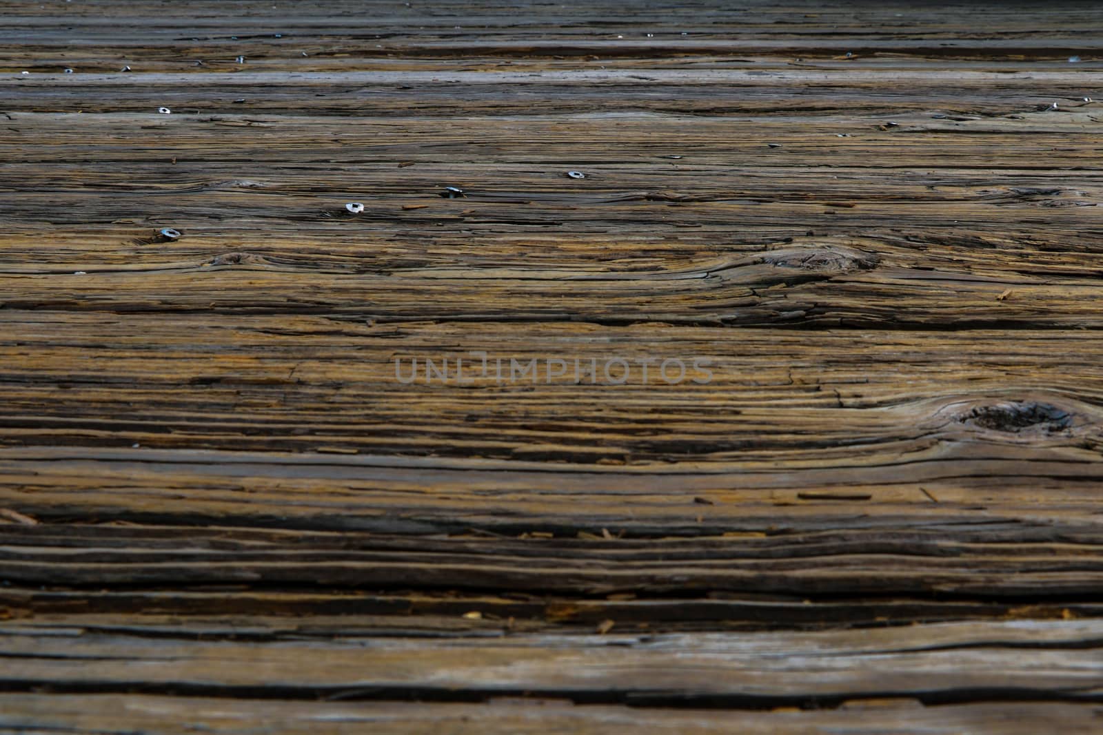 Dark wood texture. Abstract background