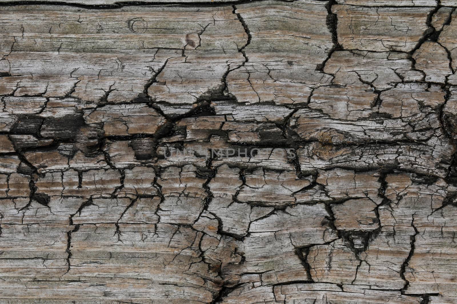 Surface eroded by time,Old wood background. texture by kip02kas