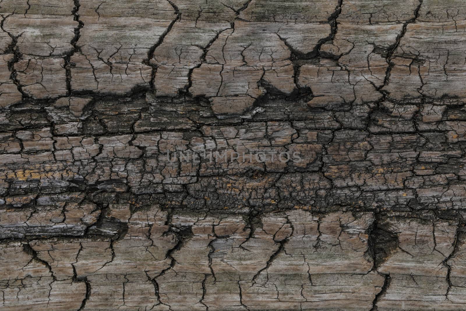 wood texture. background old panels.old wooden textures for web background by kip02kas
