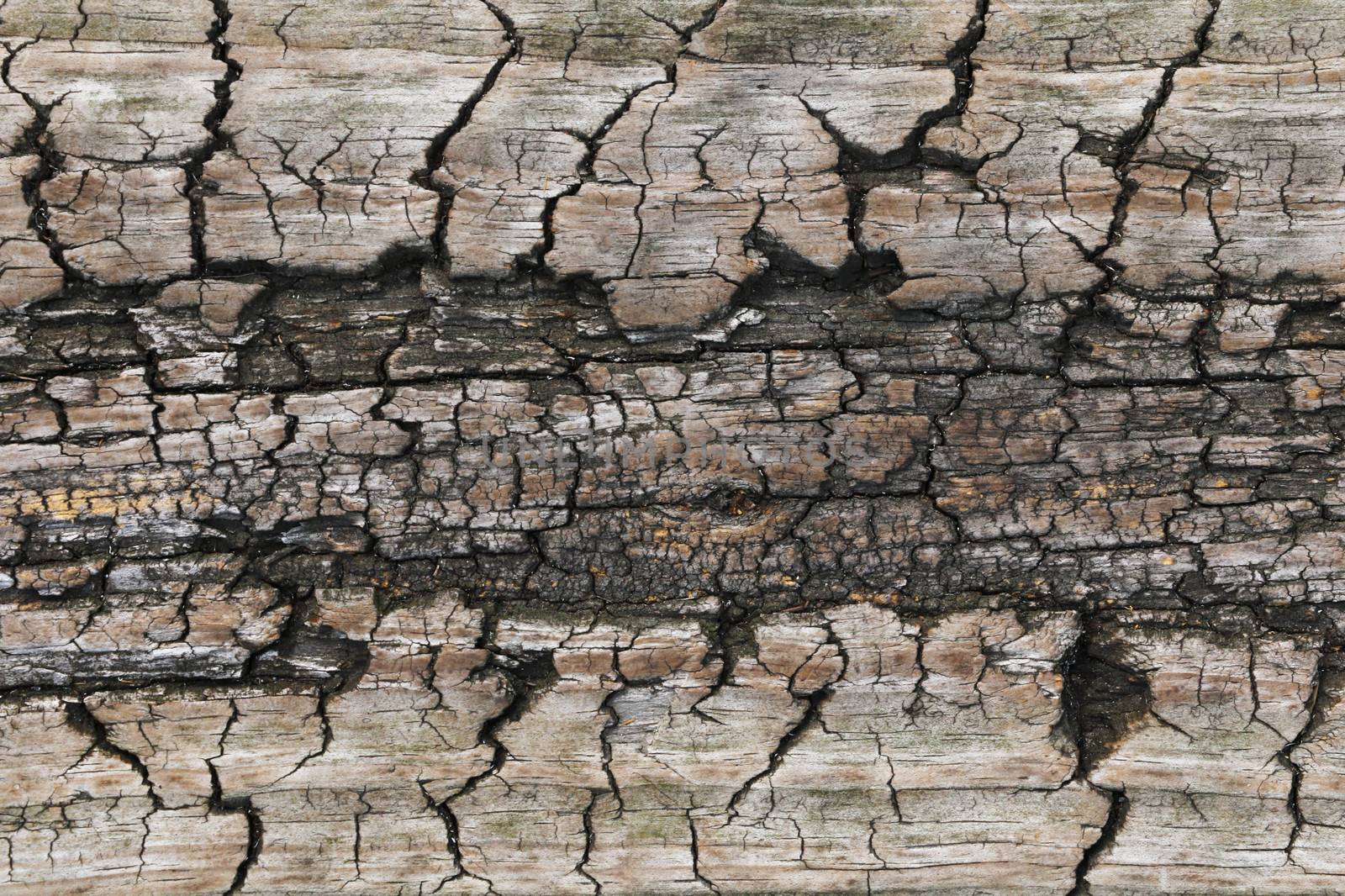 old wooden textures for web background. texture