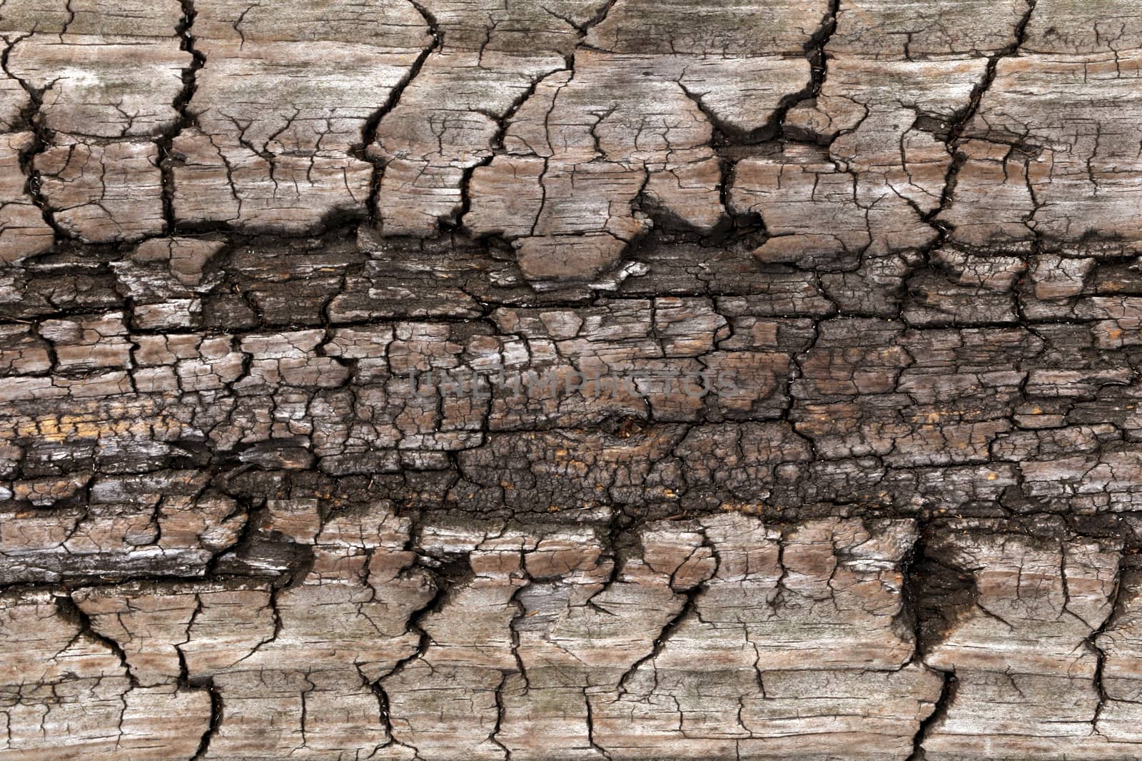 Wood texture. Old wood background. Wooden background pattern