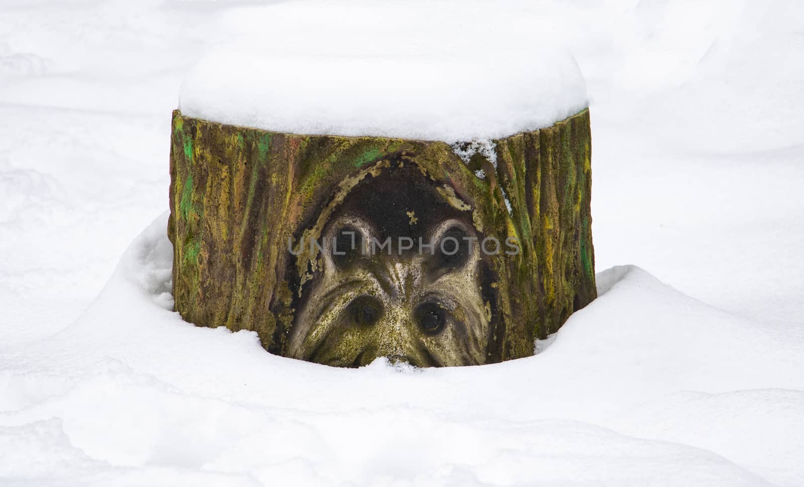 stump colorful painted outdoor decorative covered in snow