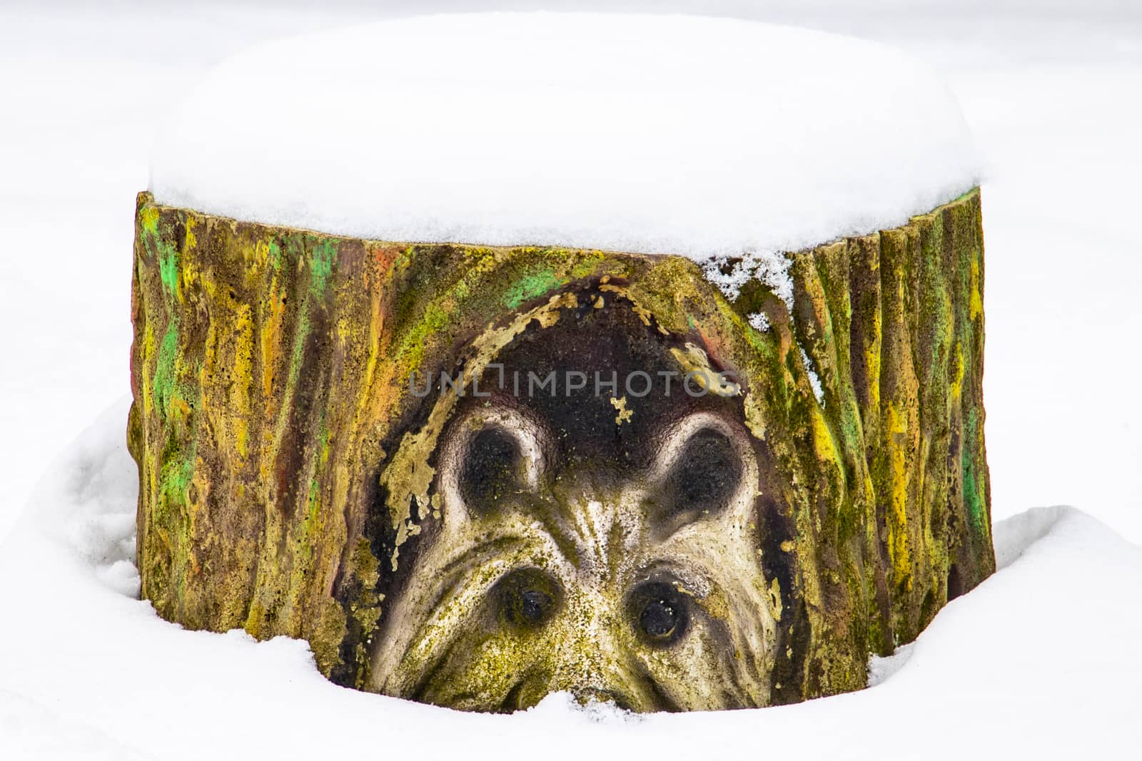 Close up texture of closeup of an old painted stump in the snow. by kip02kas
