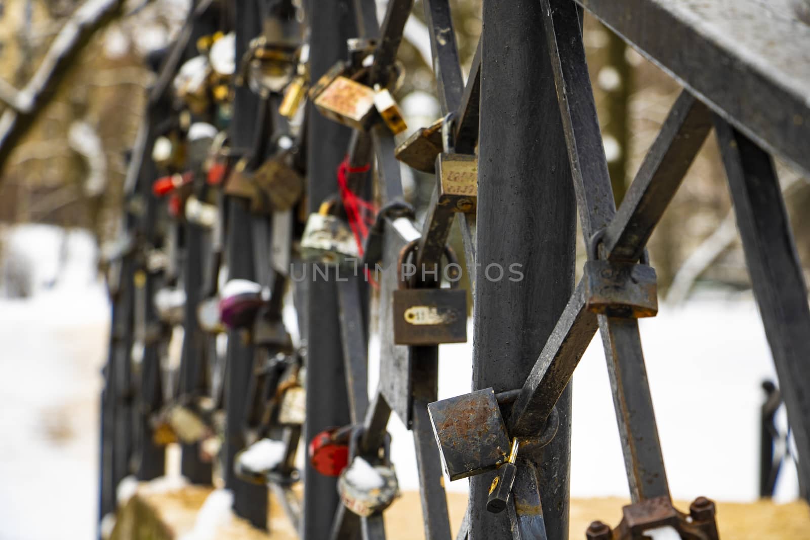 Close-up of padlocks on bridge railing