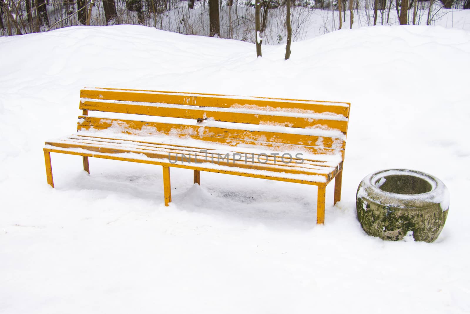 An empty bench in a winter park. An empty wooden bench in the park, all around in the snow. Snow-covered alley with empty benches. by kip02kas