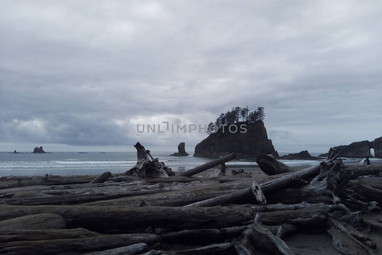Beautiful Pacific Coast in the Olympic National Park. by kip02kas