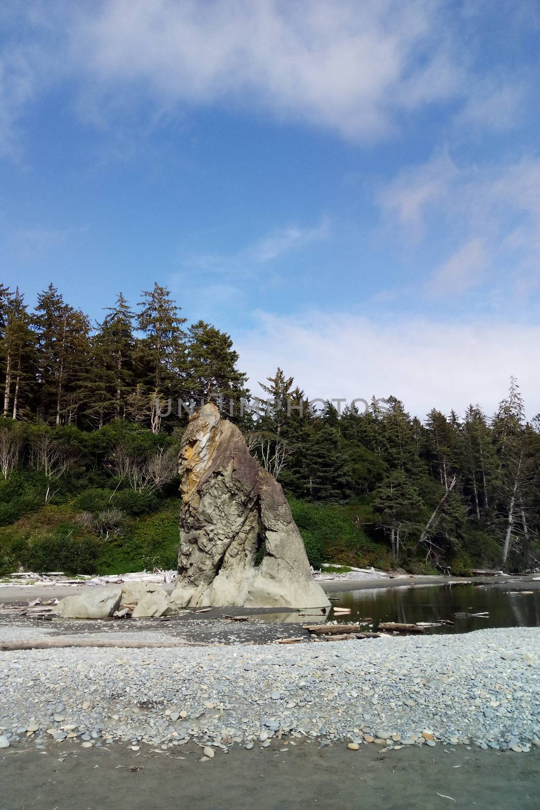 Beautiful Pacific Coast in the Olympic National Park