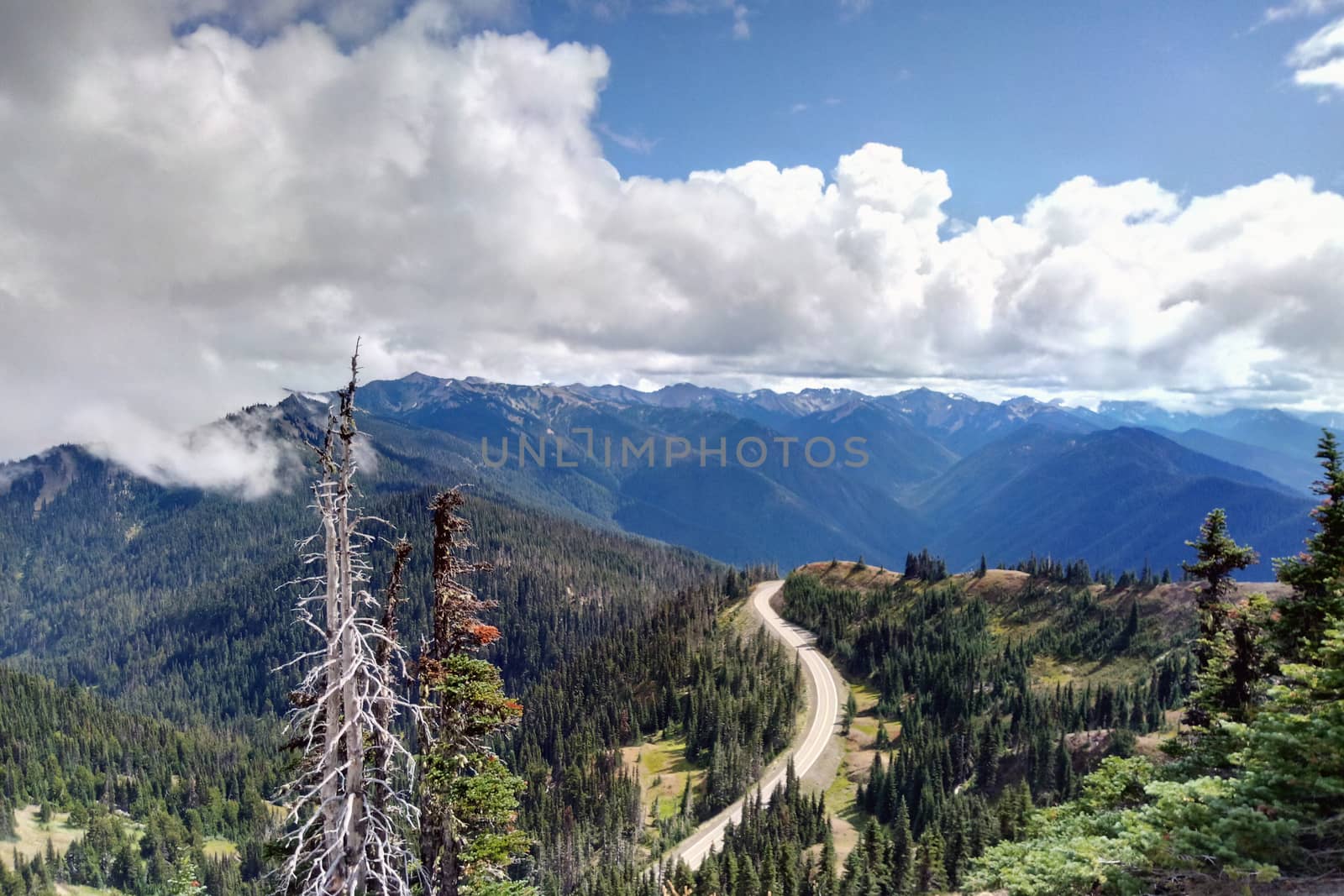 Aerial view of the mountains and the forest, the road along the forest. by kip02kas