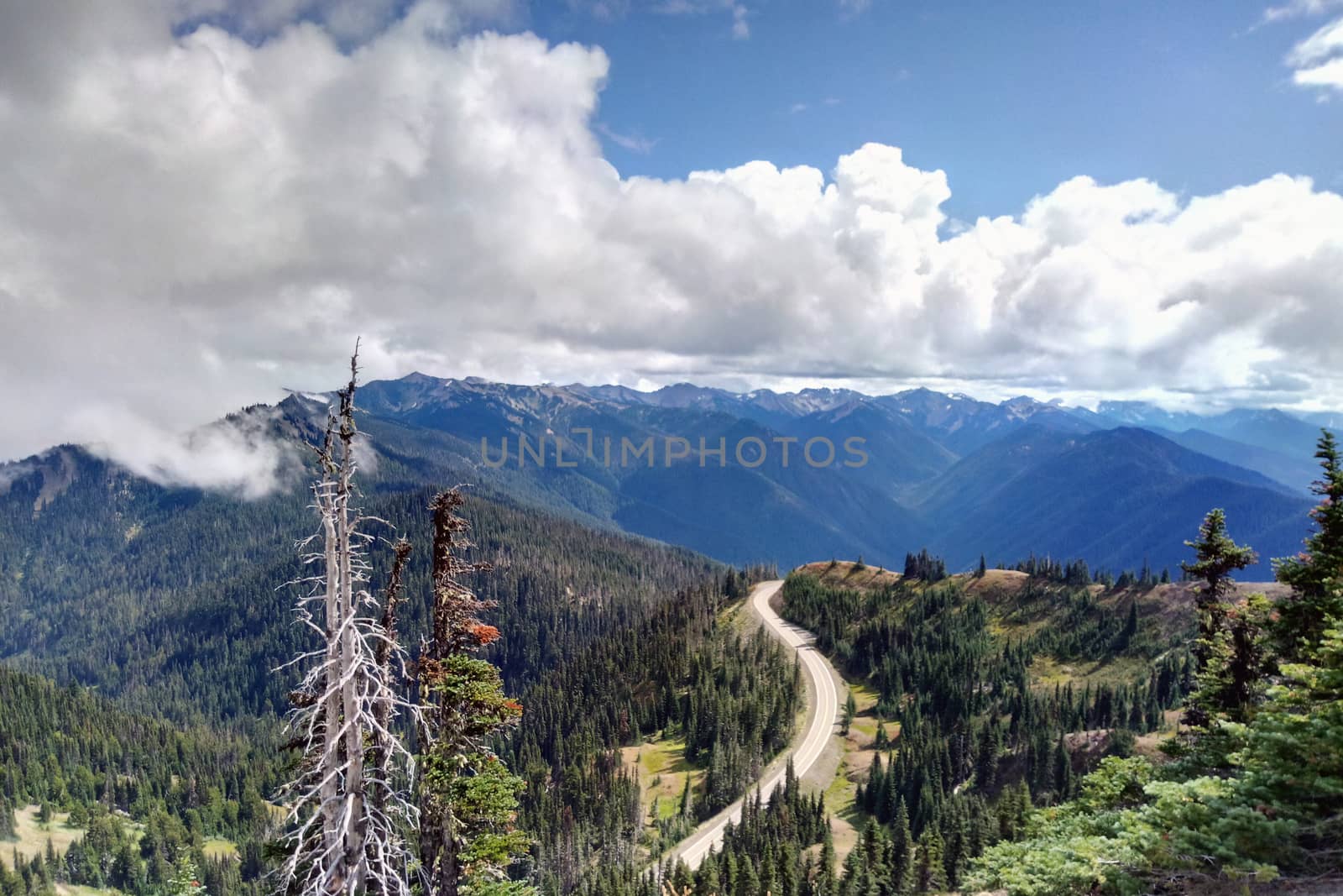 Aerial view of the mountains and the forest, the road along the forest