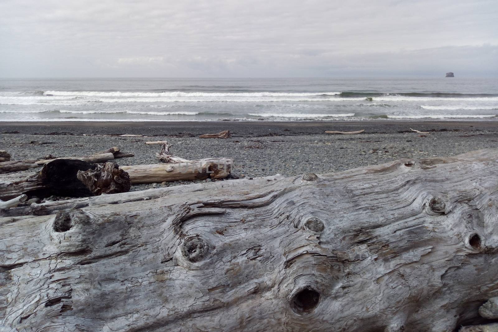 Rock Formations at Olympic National Park. USA by kip02kas