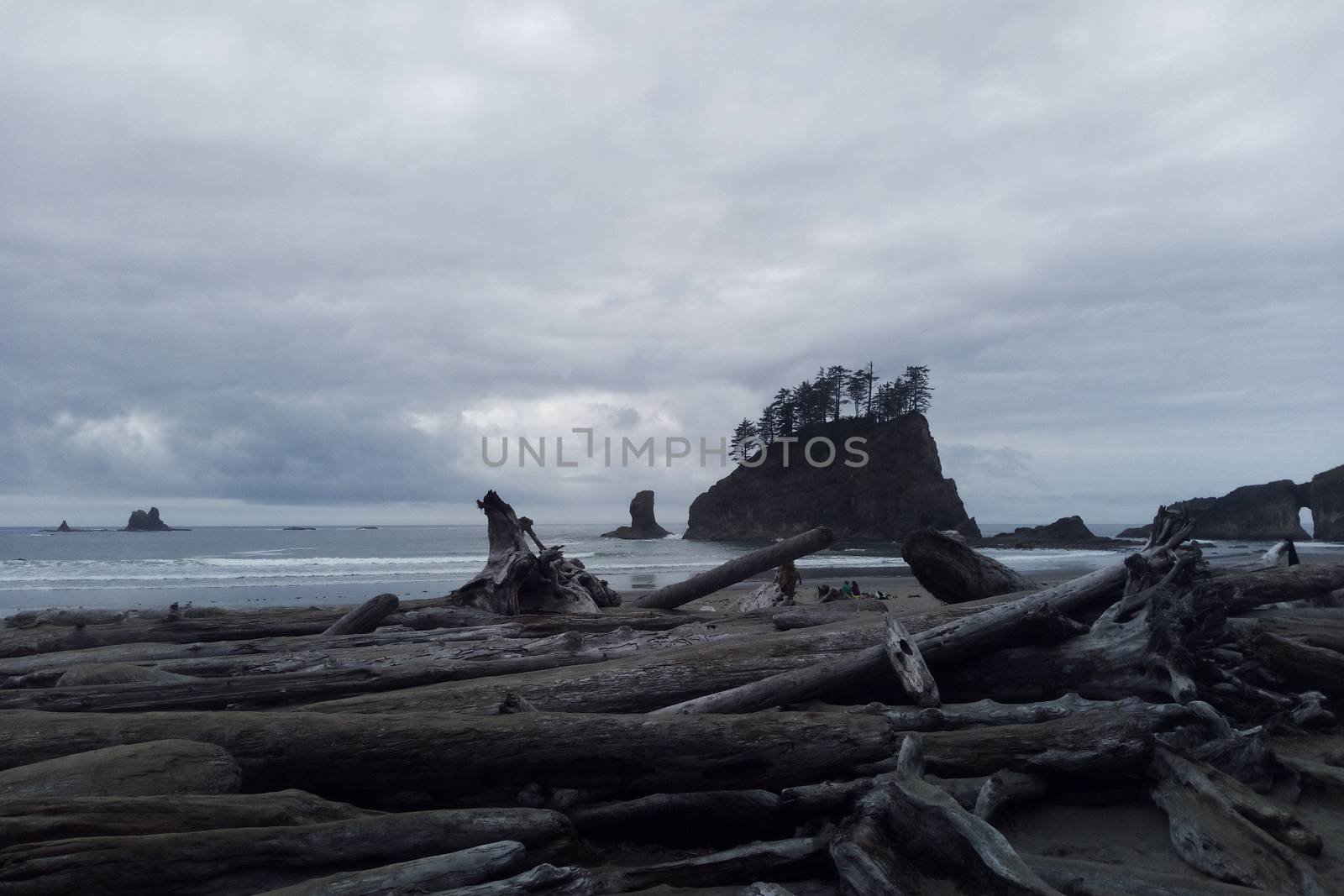 Rock Formations at Olympic National Park. USA by kip02kas