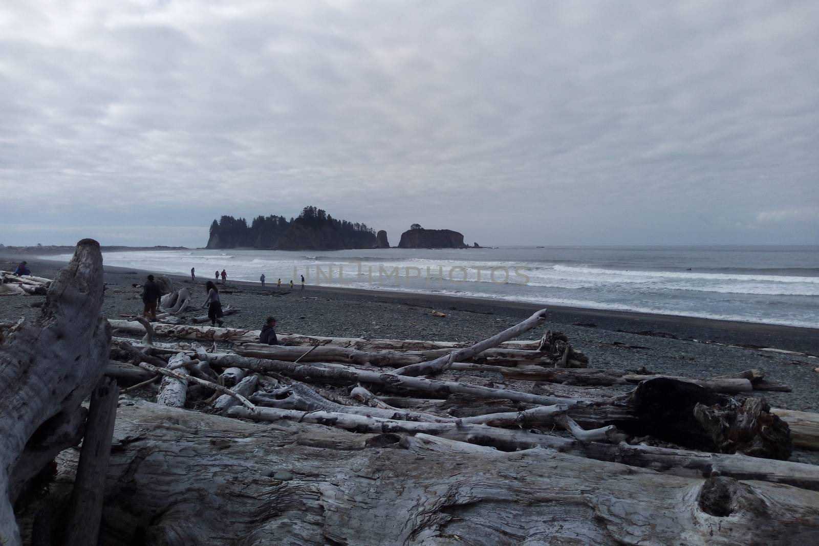 Rock Formations at Olympic National Park. USA by kip02kas