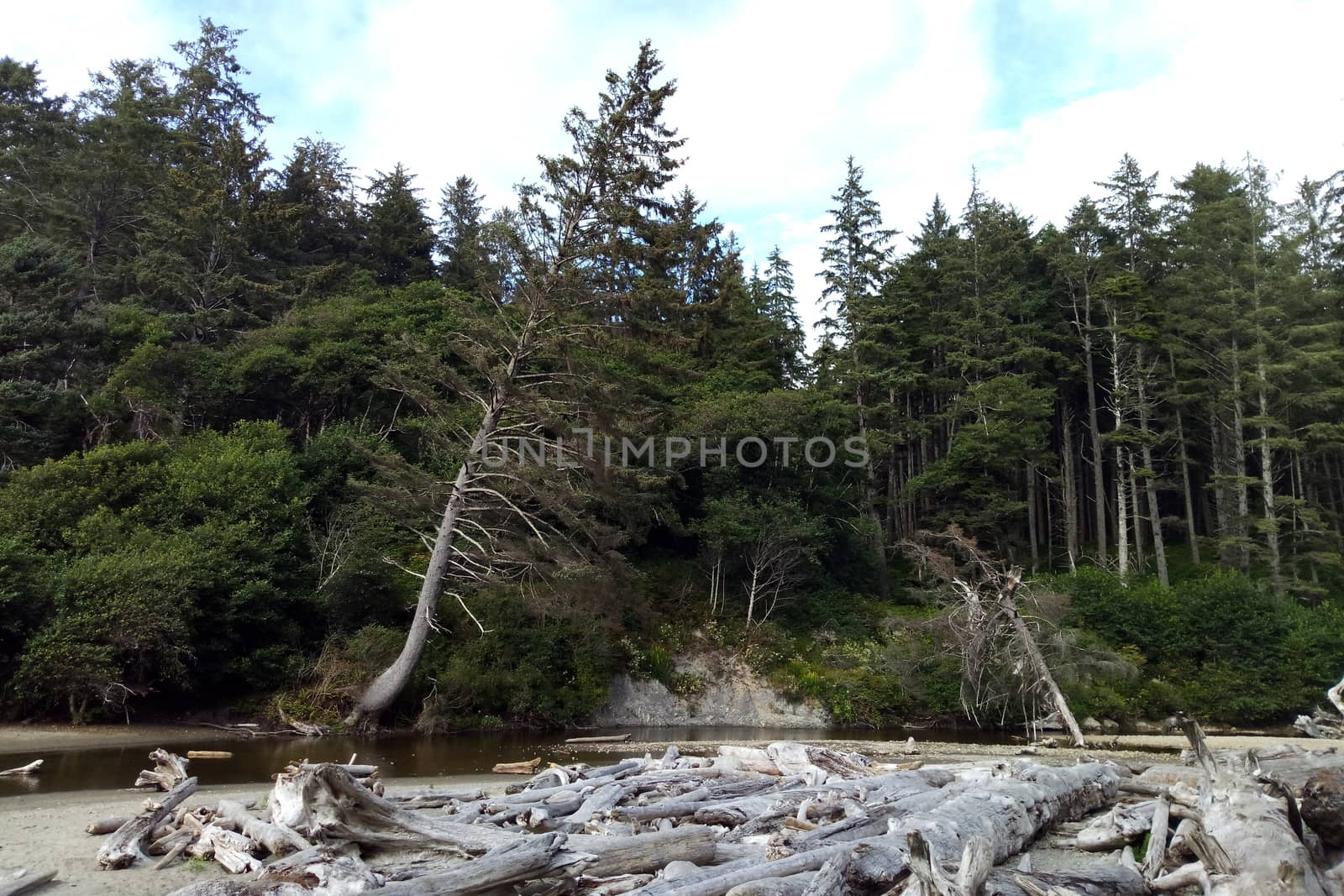 Beautiful beach at Olympic National Park near Seattle, WA