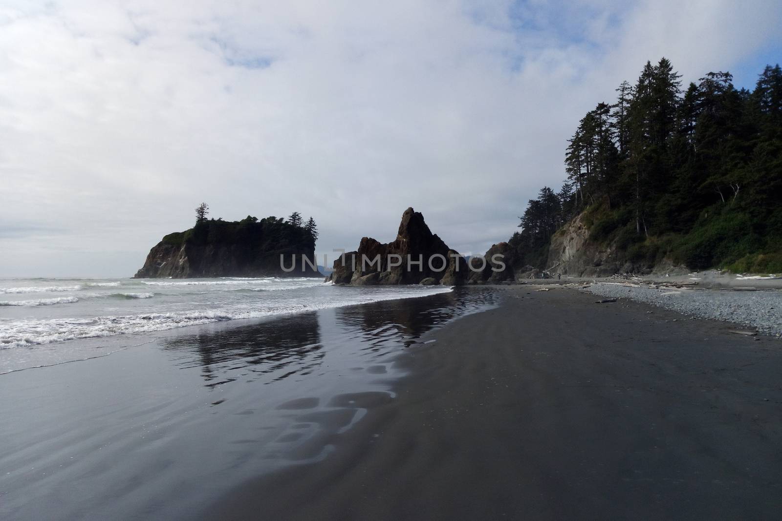 Rock Formations at Olympic National Park. USA