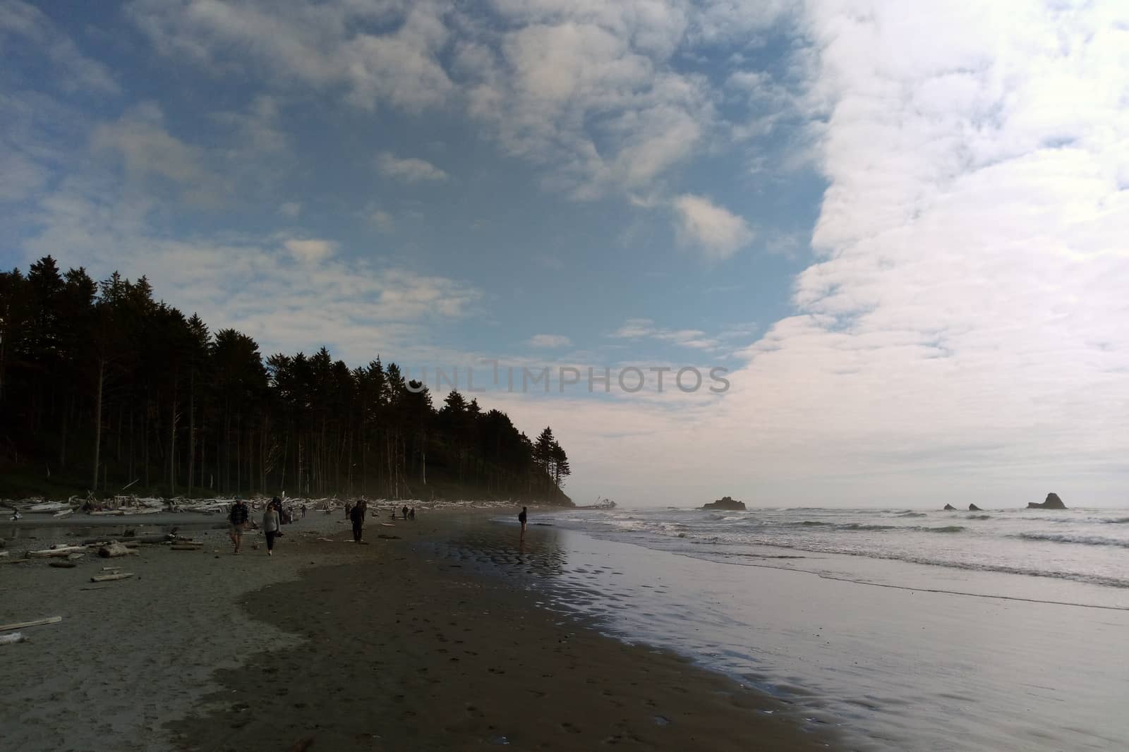 Beach coastline in the Olympic National Park, the Olympic Peninsula near Seattle. by kip02kas