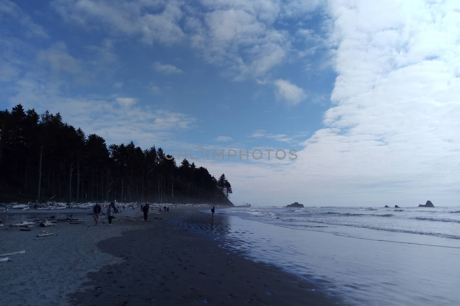 people walk on the shore of the Pacific Ocean on a clear day