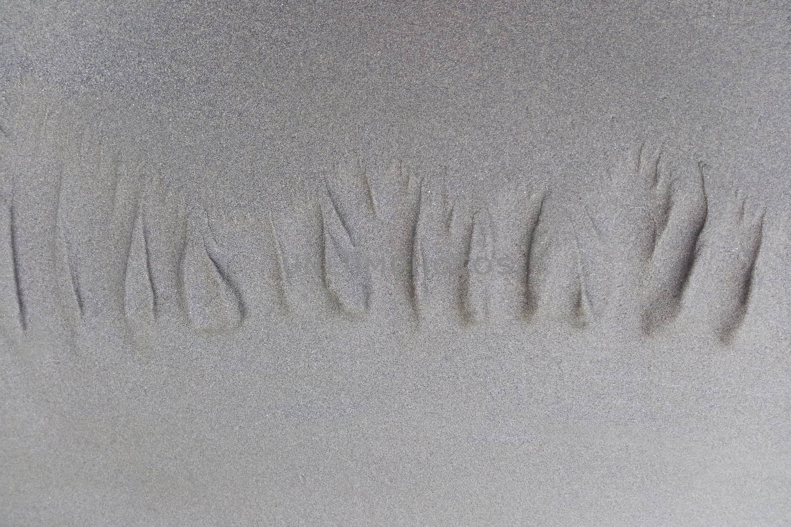 Minimalist beach scene of footprints in the sand. Background