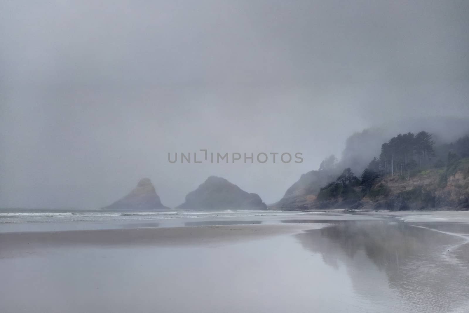 Pacific Coast early in the morning in fog, Oregon. by kip02kas
