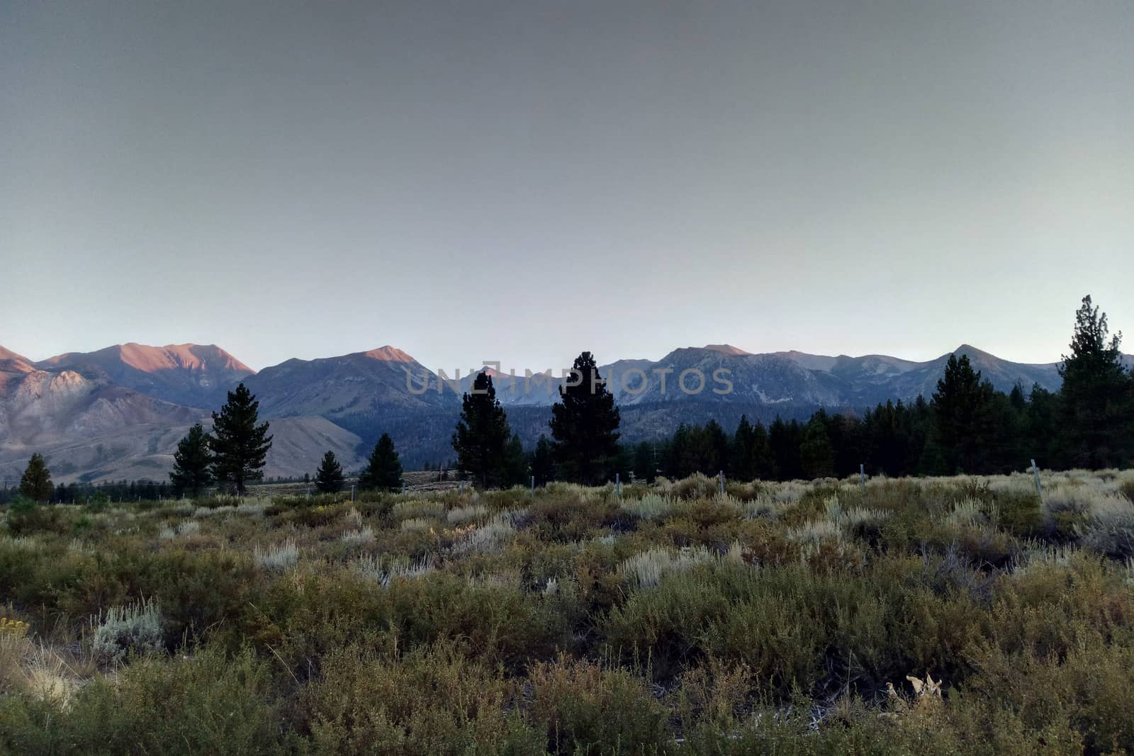 View of the mountains and forest during sunset