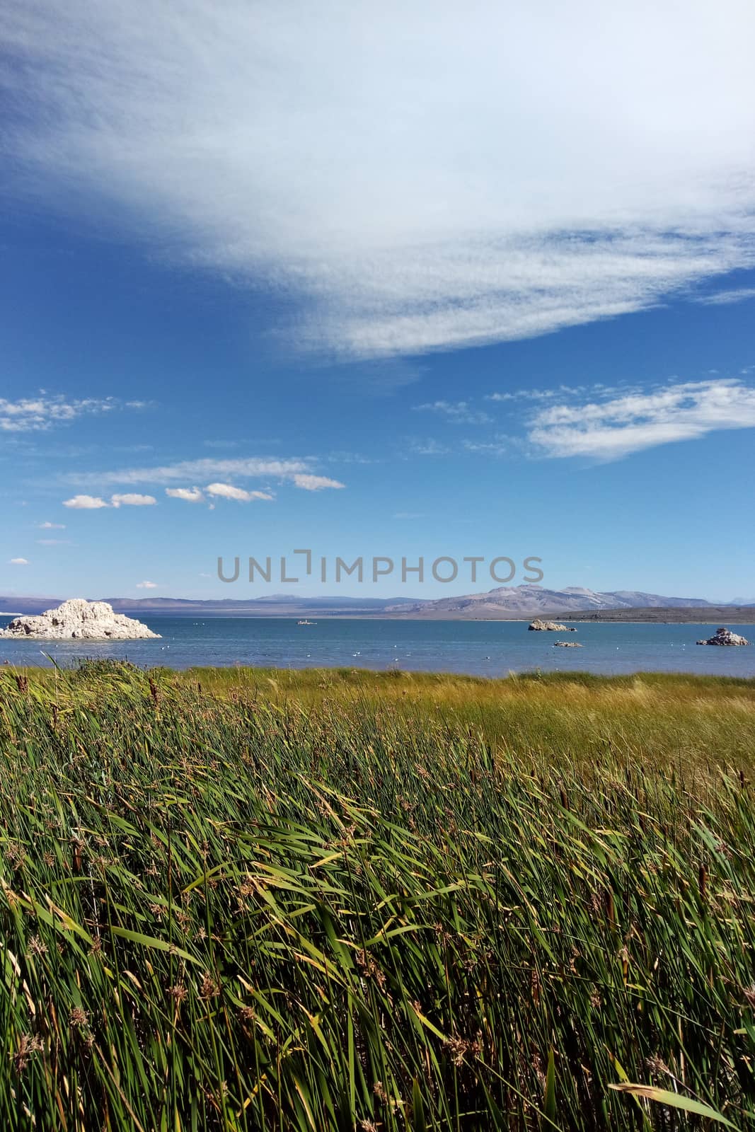 Tufa tower rock formations in Mono Lake are calcium-carbonate spires and knobs formed by interaction of freshwater springs and alkaline lake water