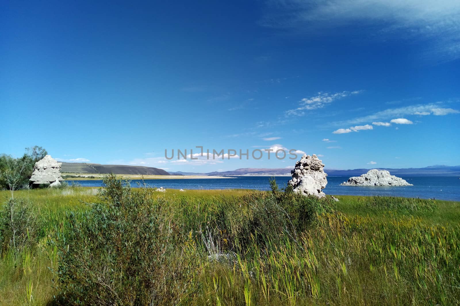 A small forest of tufa rises from the shores of Mono Lake