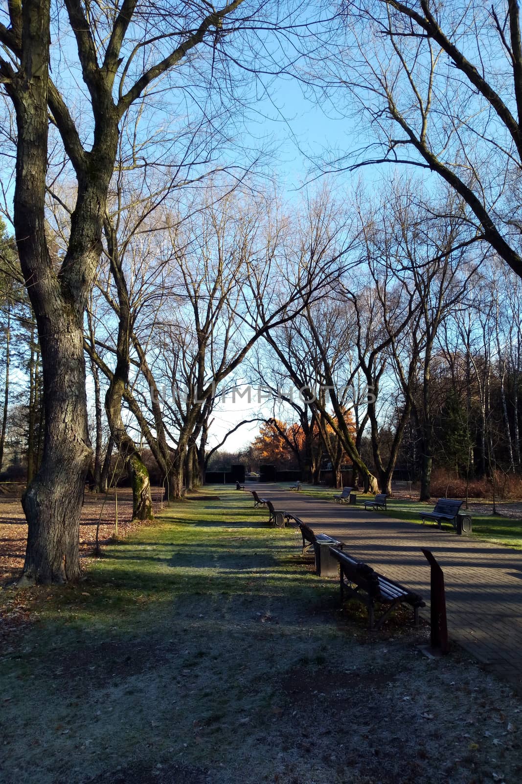 Morning in the city park in the fall or spring, nobody