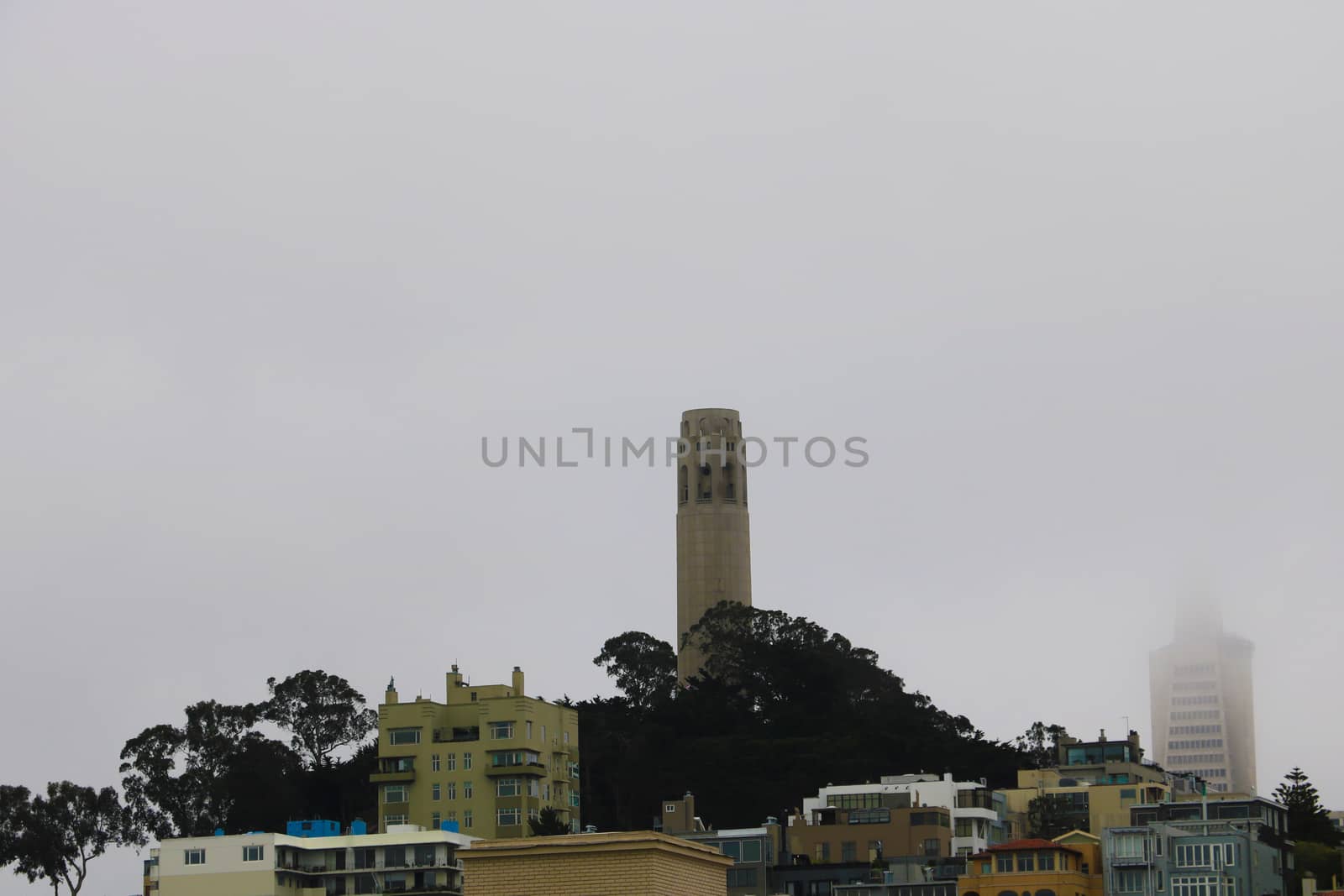 View of the foggy city in the morning, San Francisco, USA.