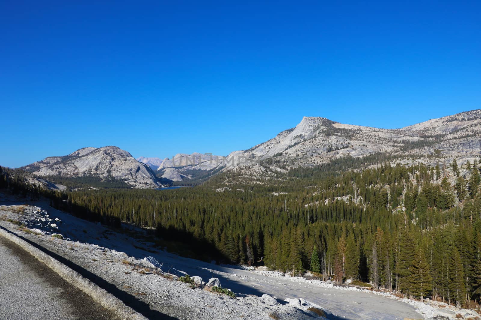 Beautiful view of the mountains, in the foreground the forest.