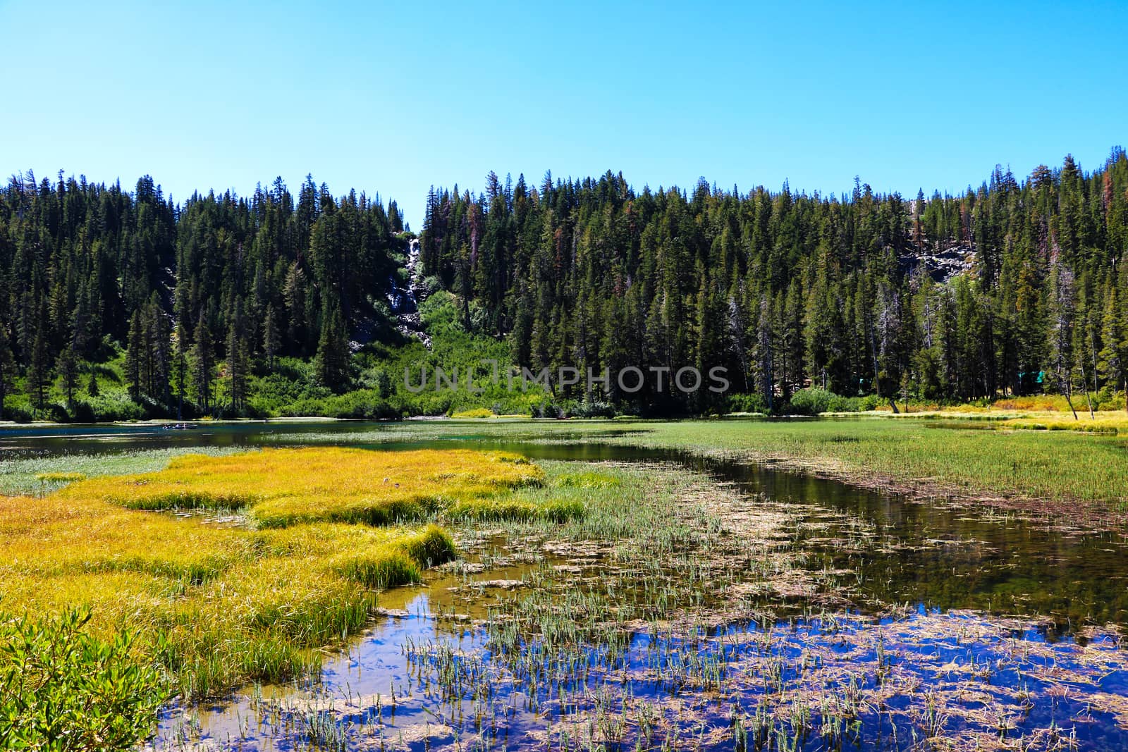 View of an overgrown lake surrounded by mountains and forests by kip02kas