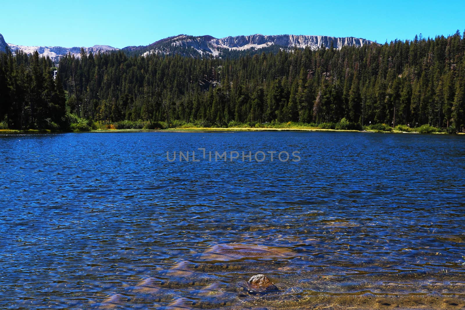 View of Yosemite Creek, just before plunging down into the upper Yosemite Fall.