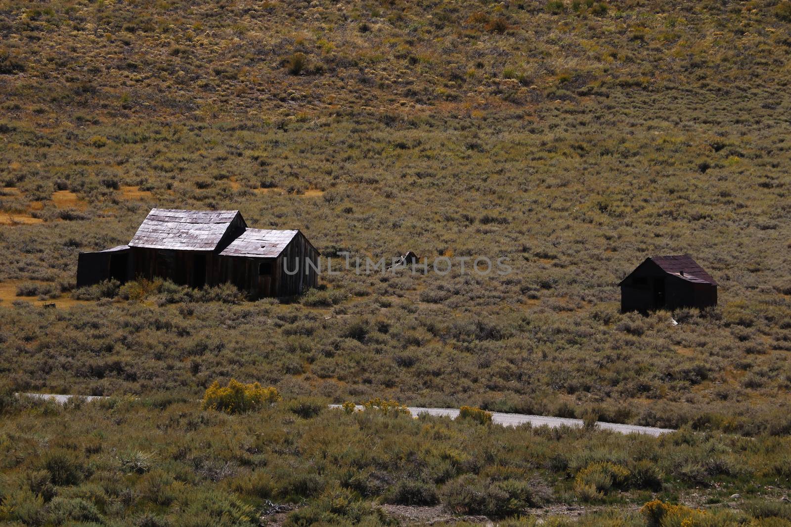 Abandoned houses in the desert after the gold rush, Bodie, Ghost Town, California