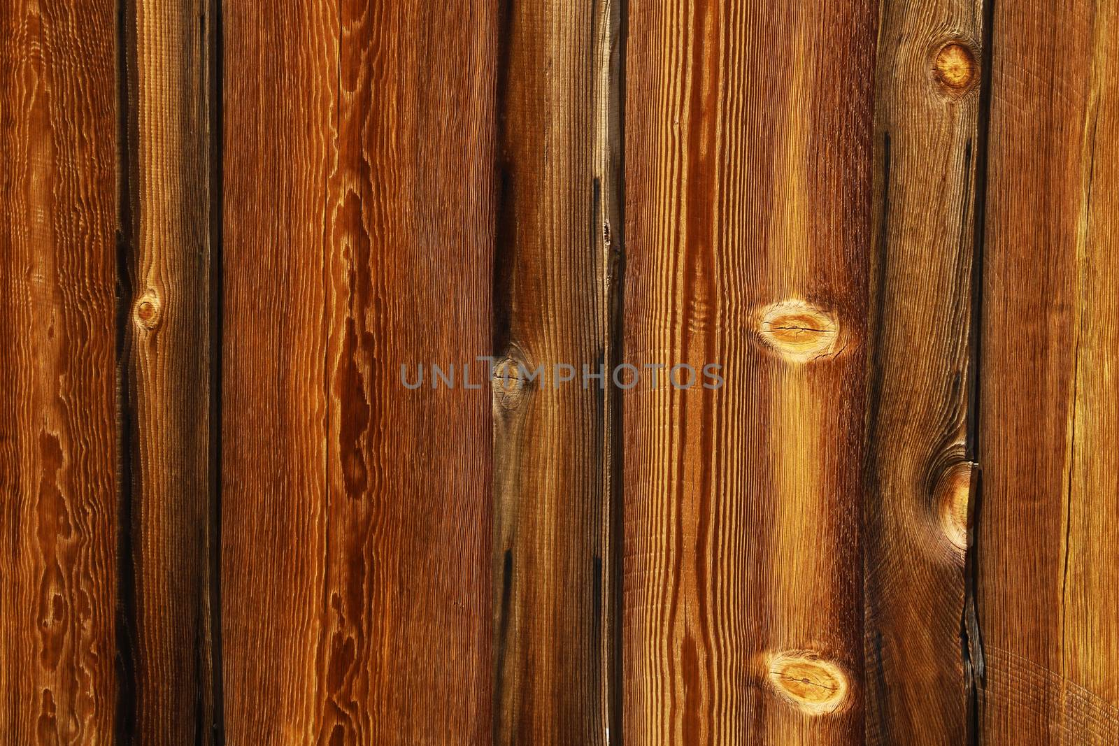 Wood texture. Surface of teak wood background for design and decoration by kip02kas