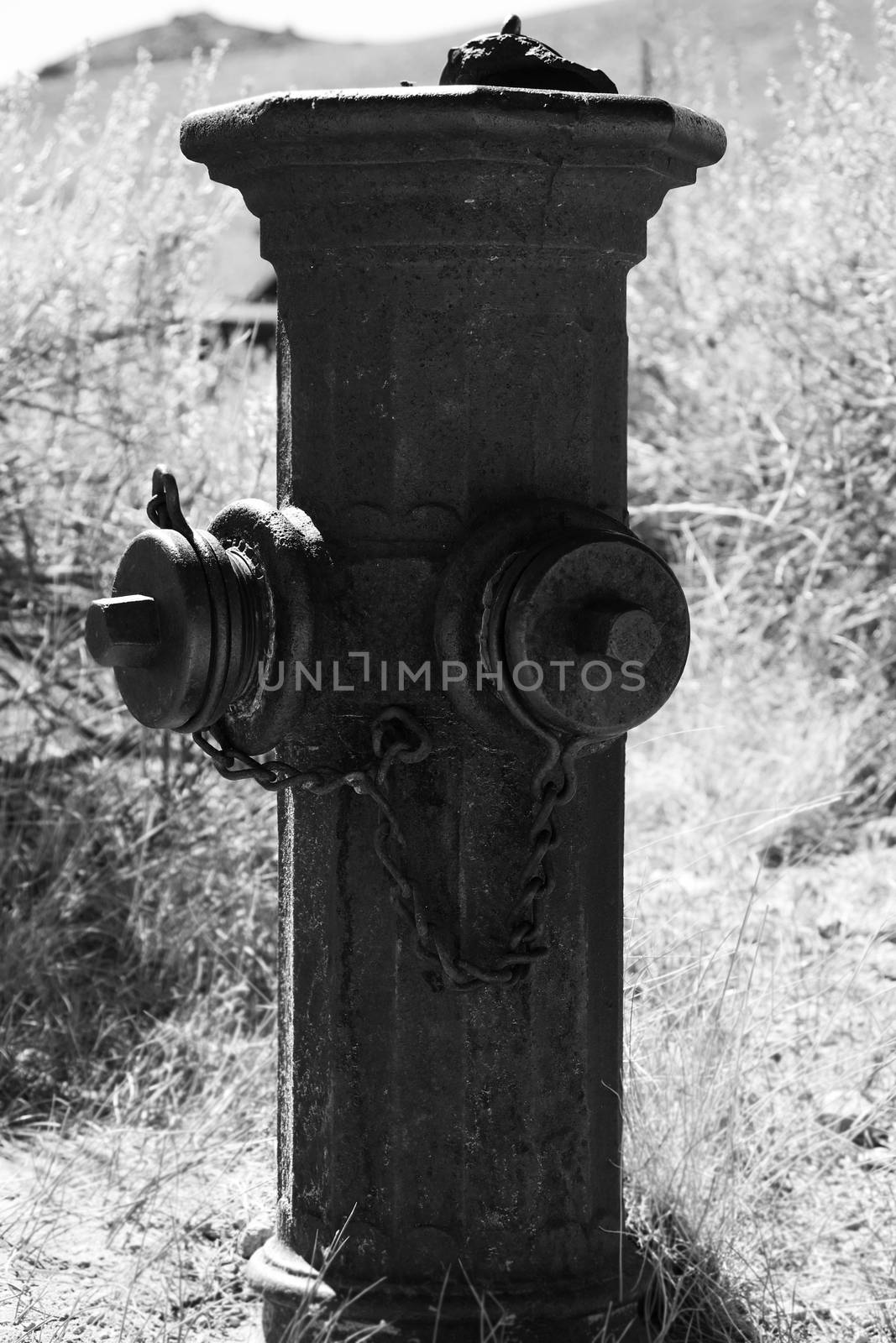 Old city fire hydrant to connect hoses to water mains by kip02kas