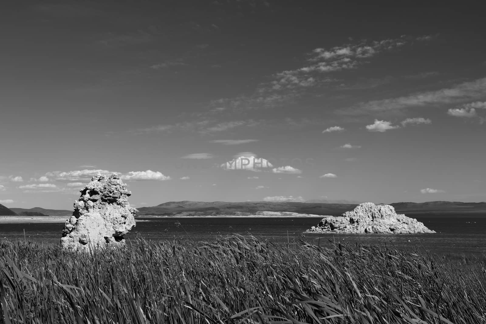 Wonderful limestone tufa towers in Mono Lake South Tufa area