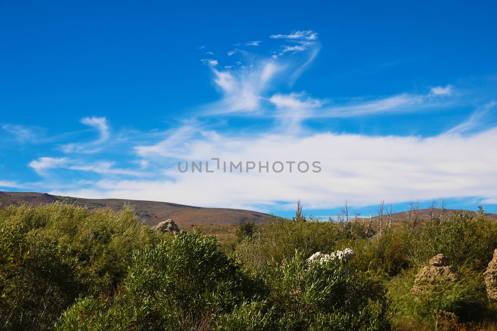 Mono County Fall Colors at the peak - Mammoth Lakes California USA