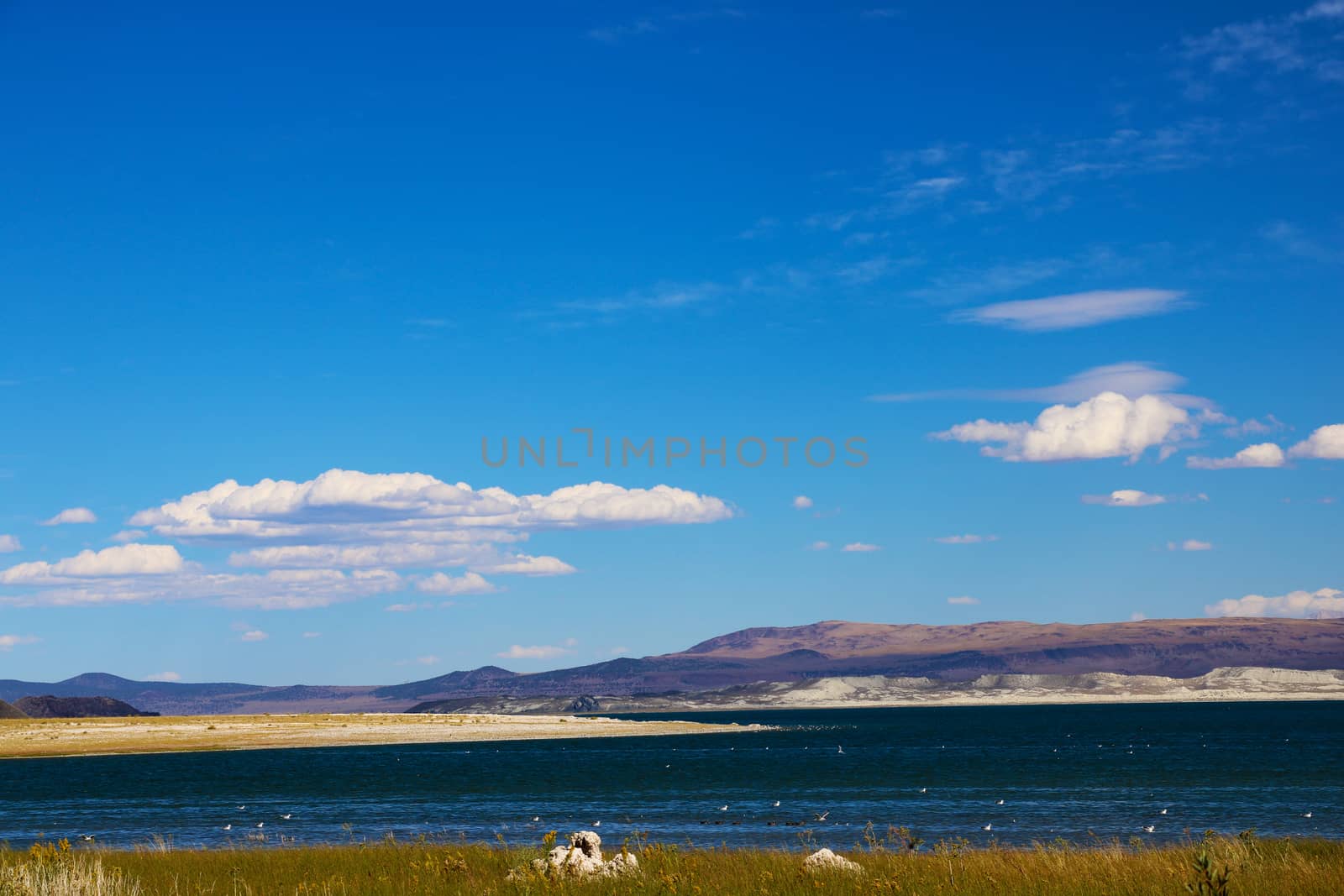 The magic of Mono Lake. Outliers - bizarre limestone calcareous tufa formation on the smooth water of the lake. by kip02kas