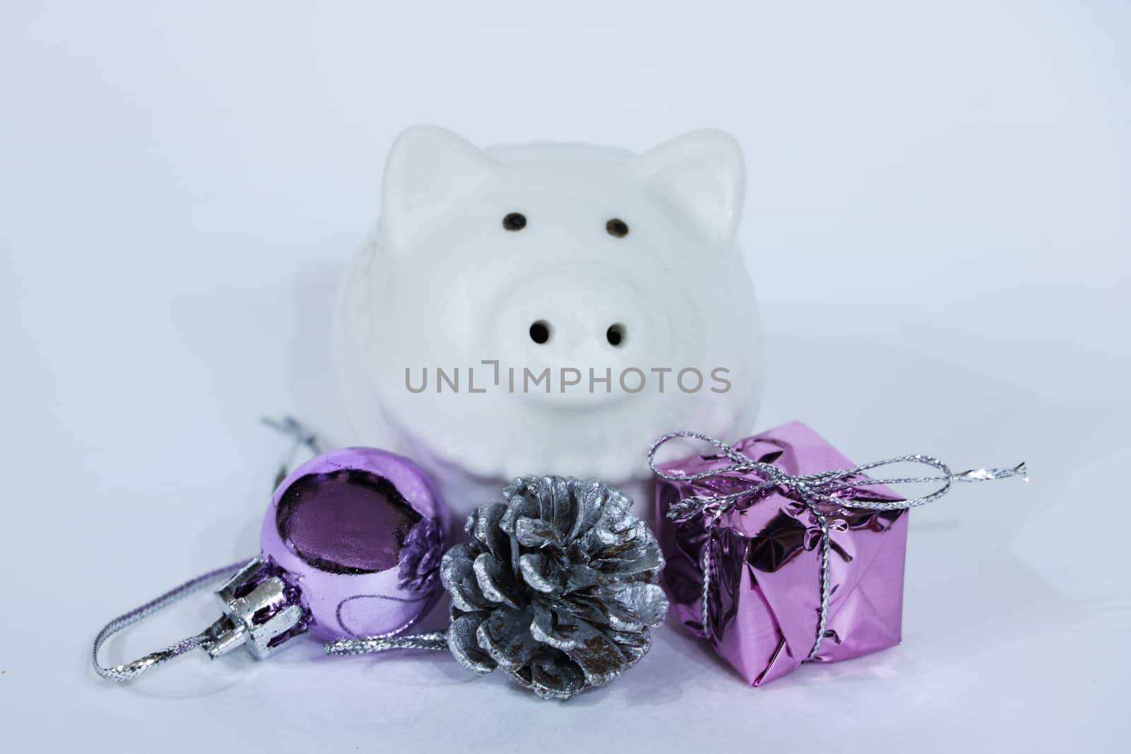 White pig sitting near the Christmas decoration. Cute little piglet for the New Year. by kip02kas