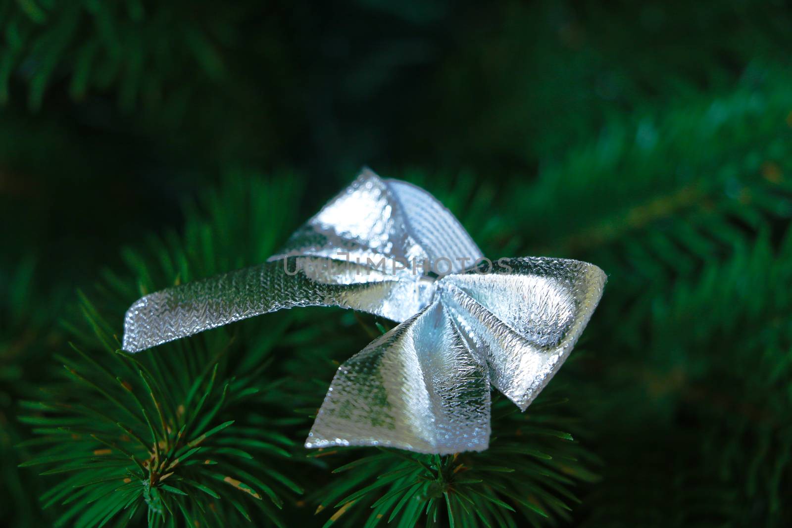 Christmas and New Year toys on a twig of a Christmas tree