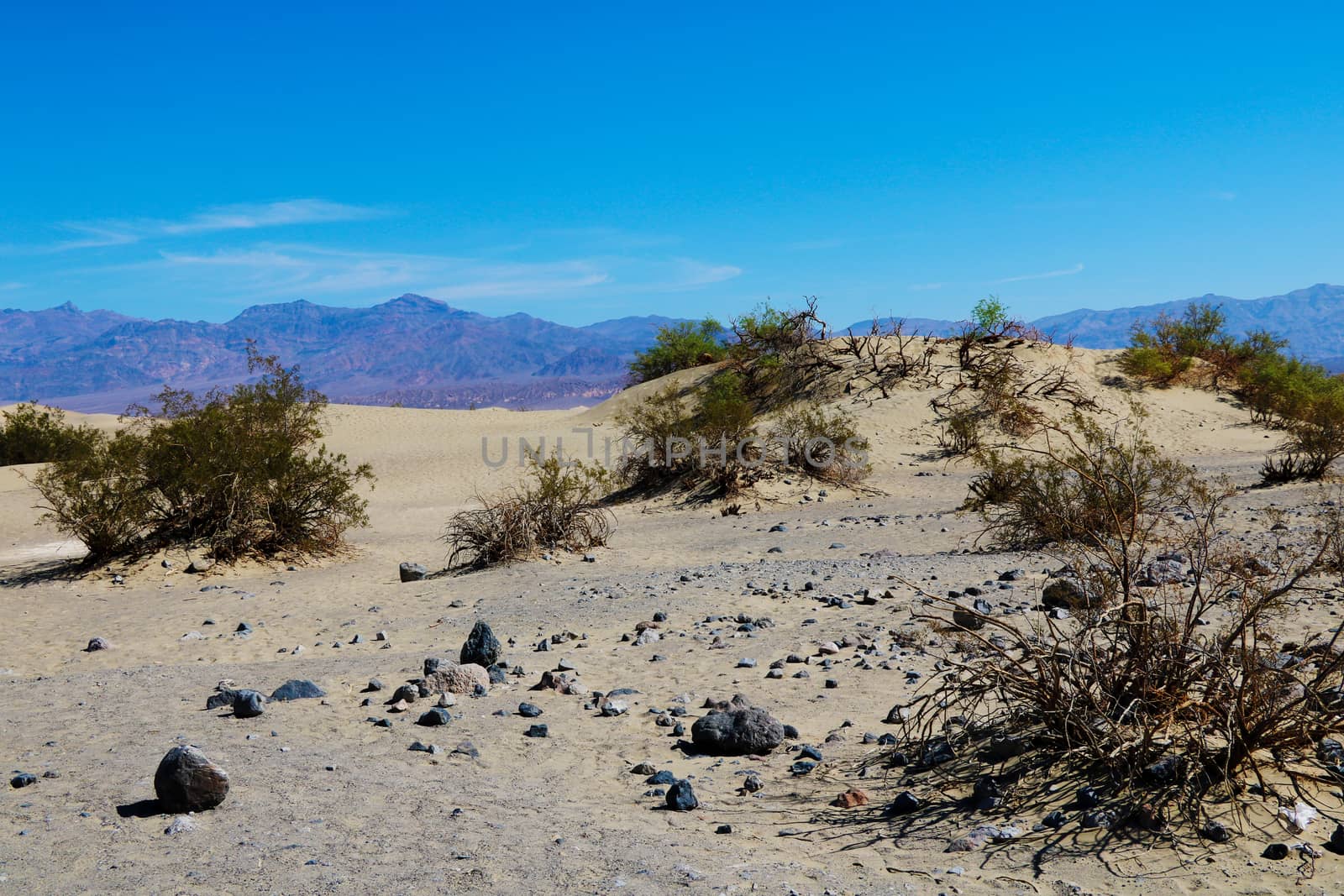 desert landscape, dunes, mountains in the background