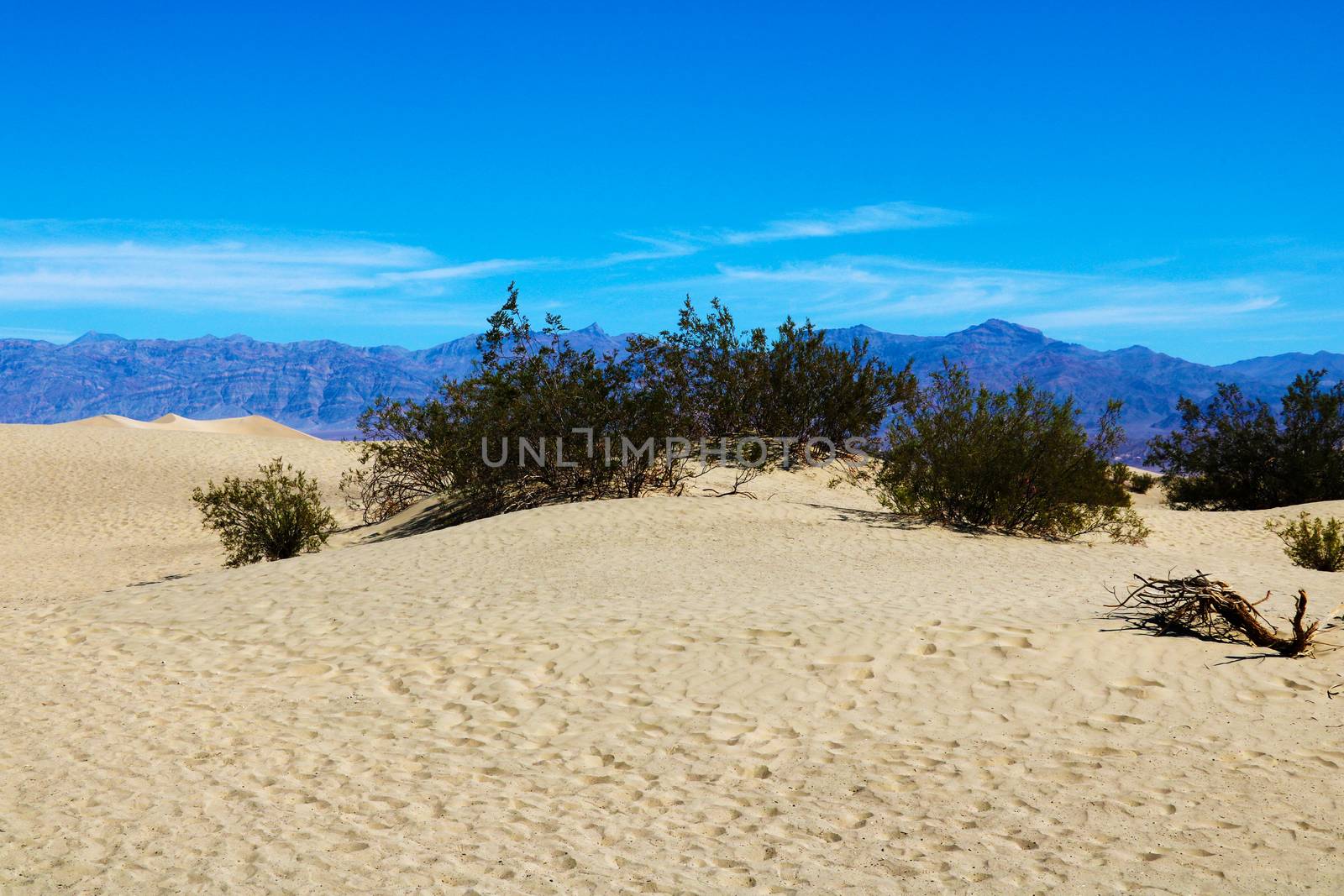 Huge dunes of the desert. Fine place for photographers and travelers. Beautiful structures of sandy barkhans