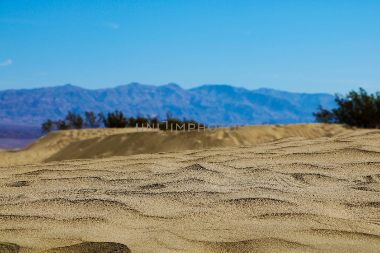 Great sand dune national park on the day,Colorado,USA