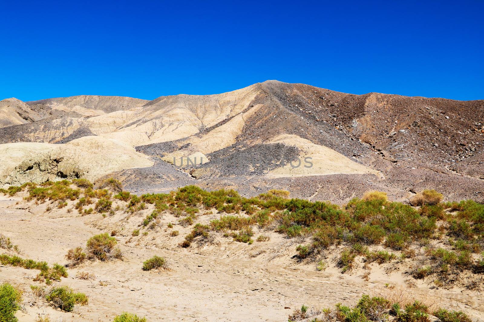 Great sand dune national park on the day,Colorado,USA